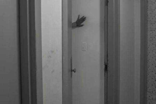 64606205866664